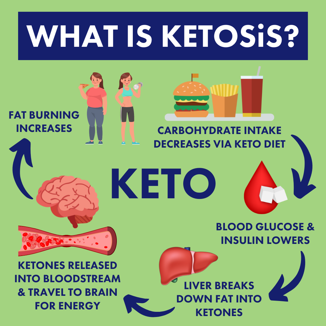 Ketosis: carb intake decreases, blood glucose & insulin lowers, liver breaks down fat into ketones, ketones are released and travelt o brain for energy, fat burning increases